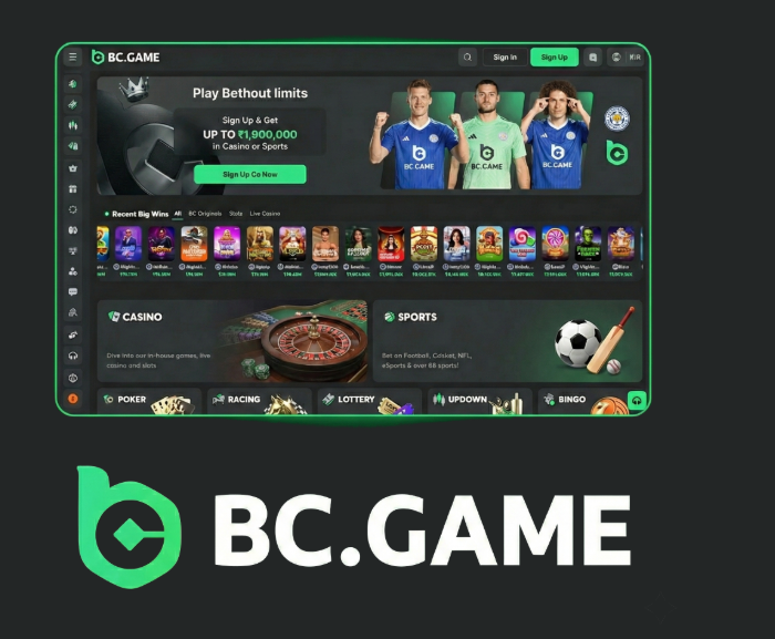 Understanding the BC.Game Login Process Step-by-Step Guide -293320010